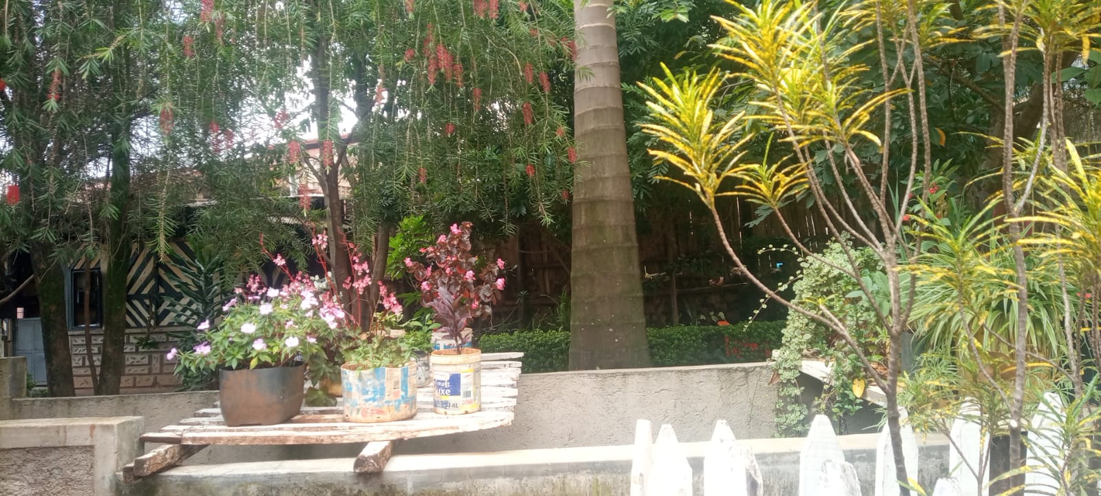 Resort gardens with highland views